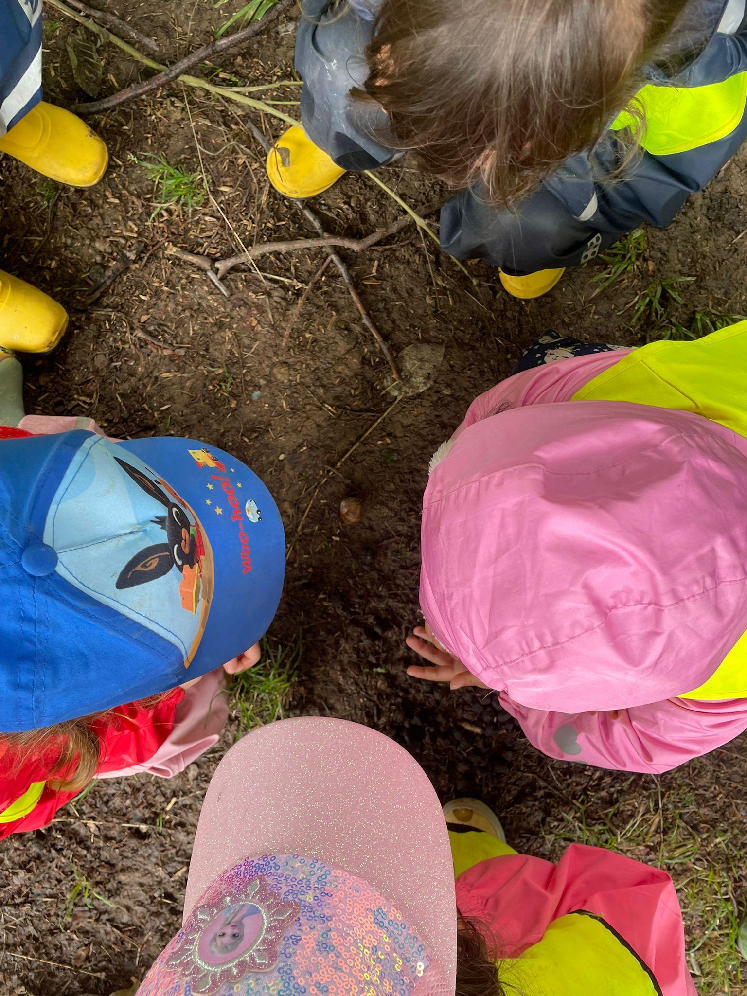 Naturentdeckung im Wald begeistert Kinderherzen