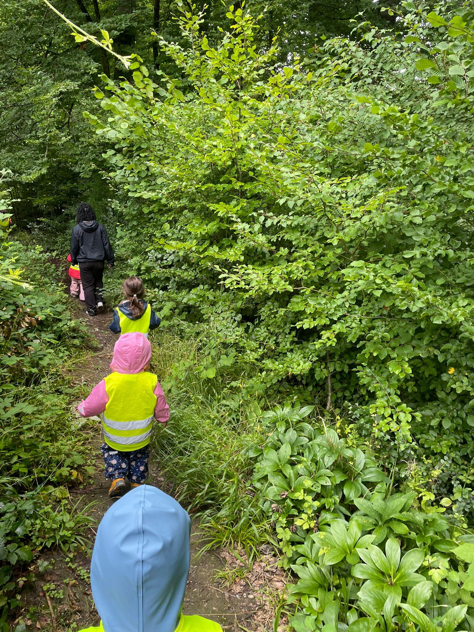 Waldspaziergang mit Kindern fördert echte Abenteuer