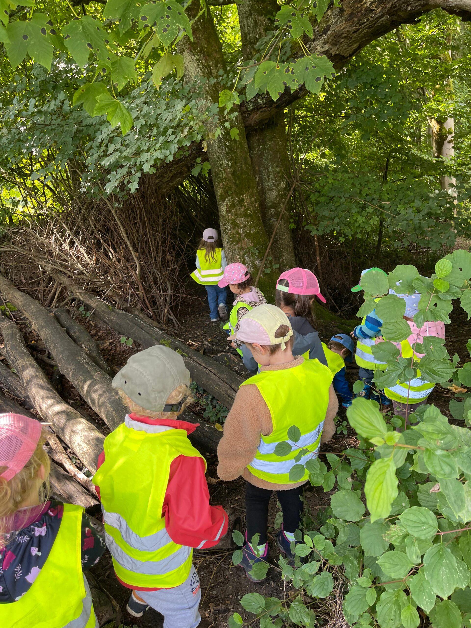 Waldabenteuer in der Kinderkrippe Blüemli: Naturpädagogik mit allen Sinnen erleben
