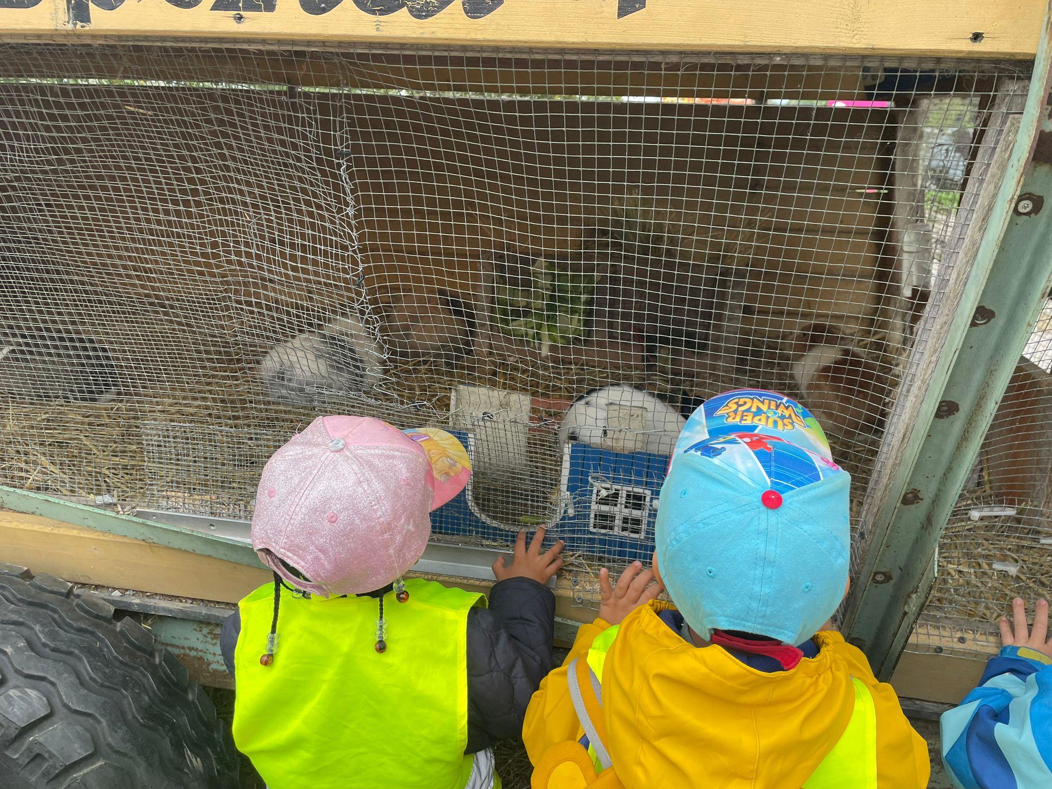 Tiererlebnis mit Kindern – 7 wundervolle Lernmomente