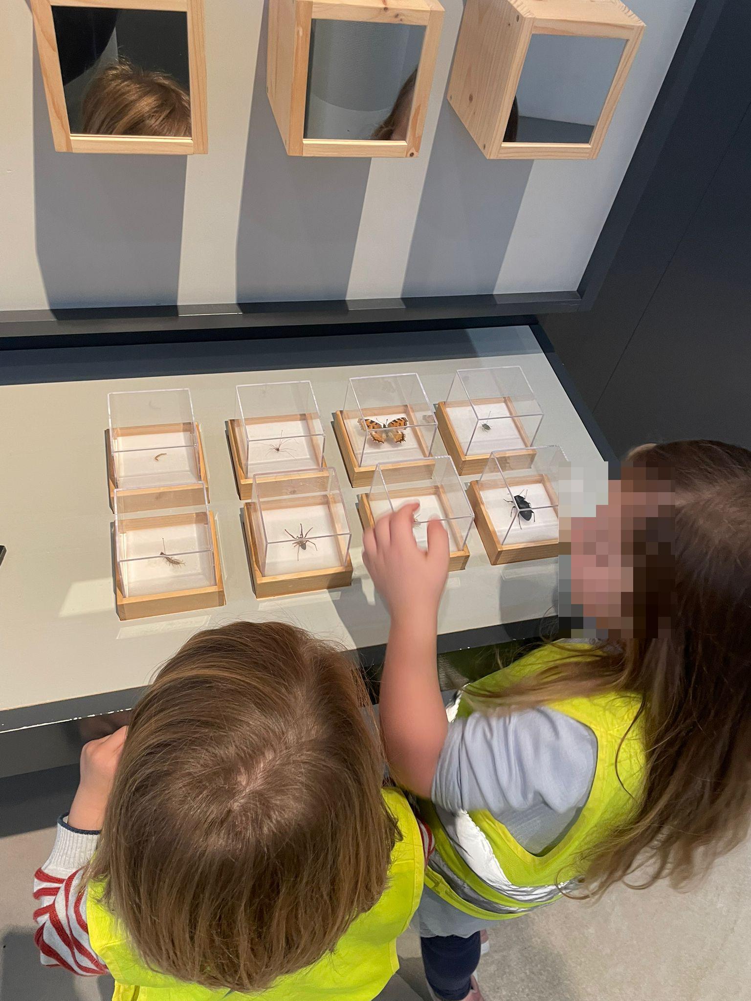 Insektenabenteuer mit Kindern – 7 faszinierende Lernmomente