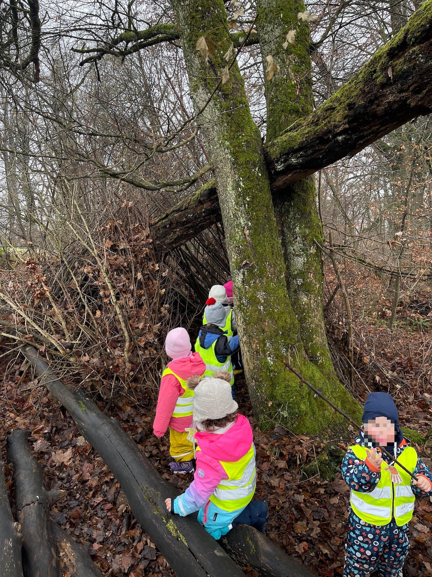 Waldabenteuer Kinderkrippe 8 starke Entdeckungen