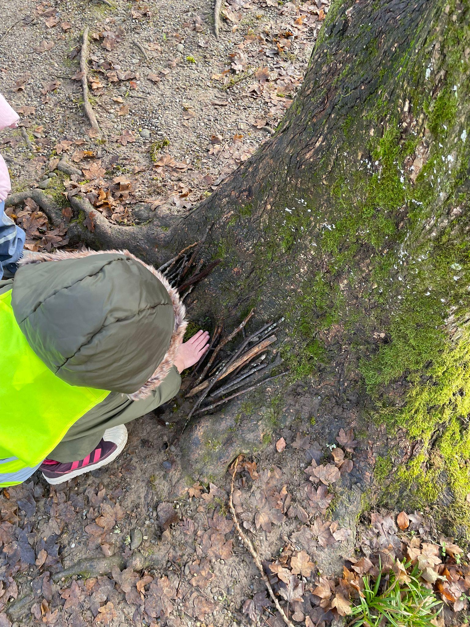 Naturentdeckung im Wald 5 starke Lernimpulse 1 Naturentdeckung im Wald 5 starke Lernimpulse