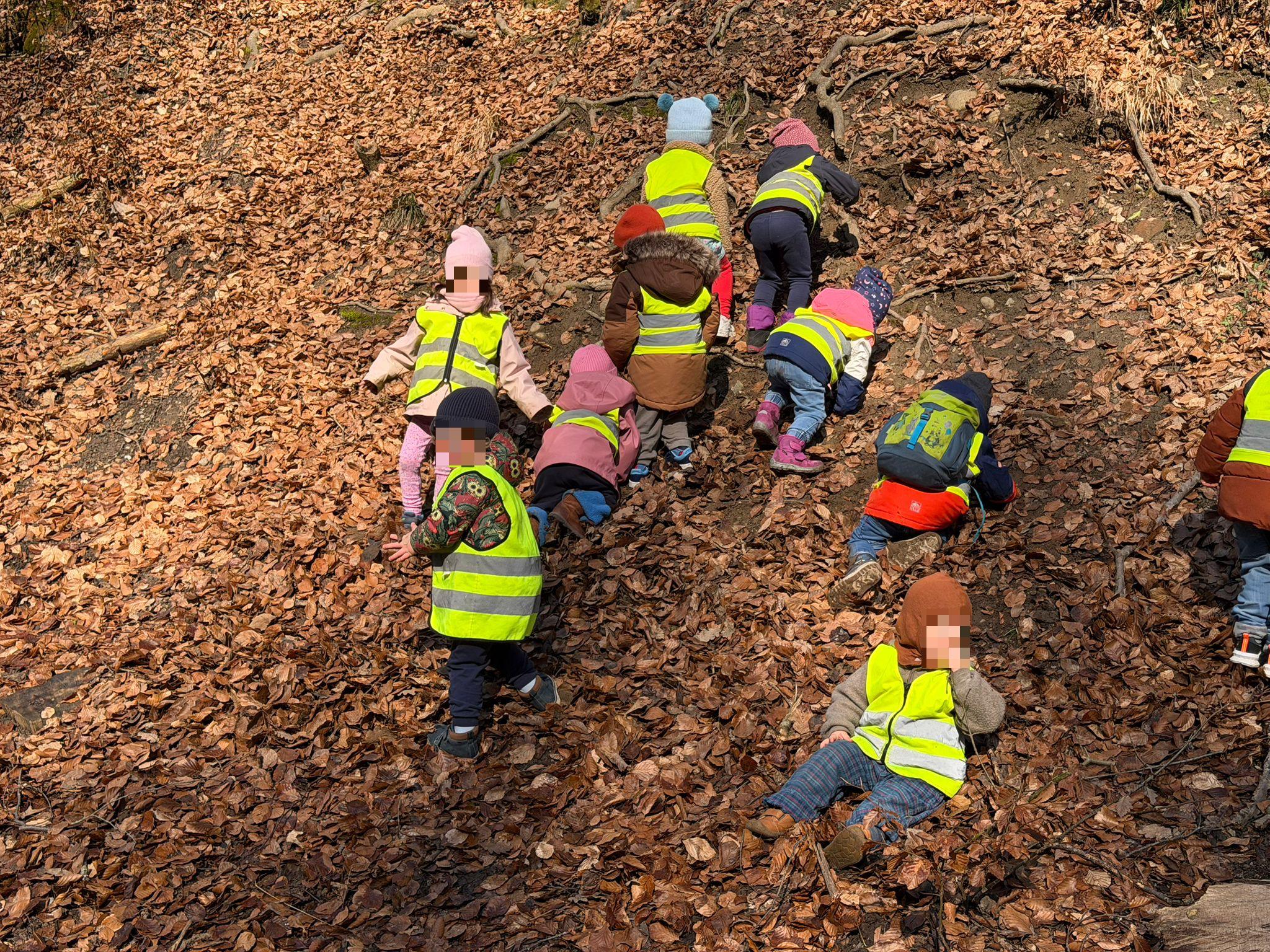 Waldabenteuer Kinder 7 mutige Entdeckungen