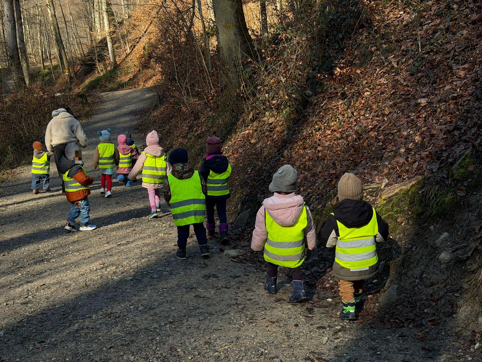 Waldspaziergang Kinder 5 wertvolle Naturmomente
