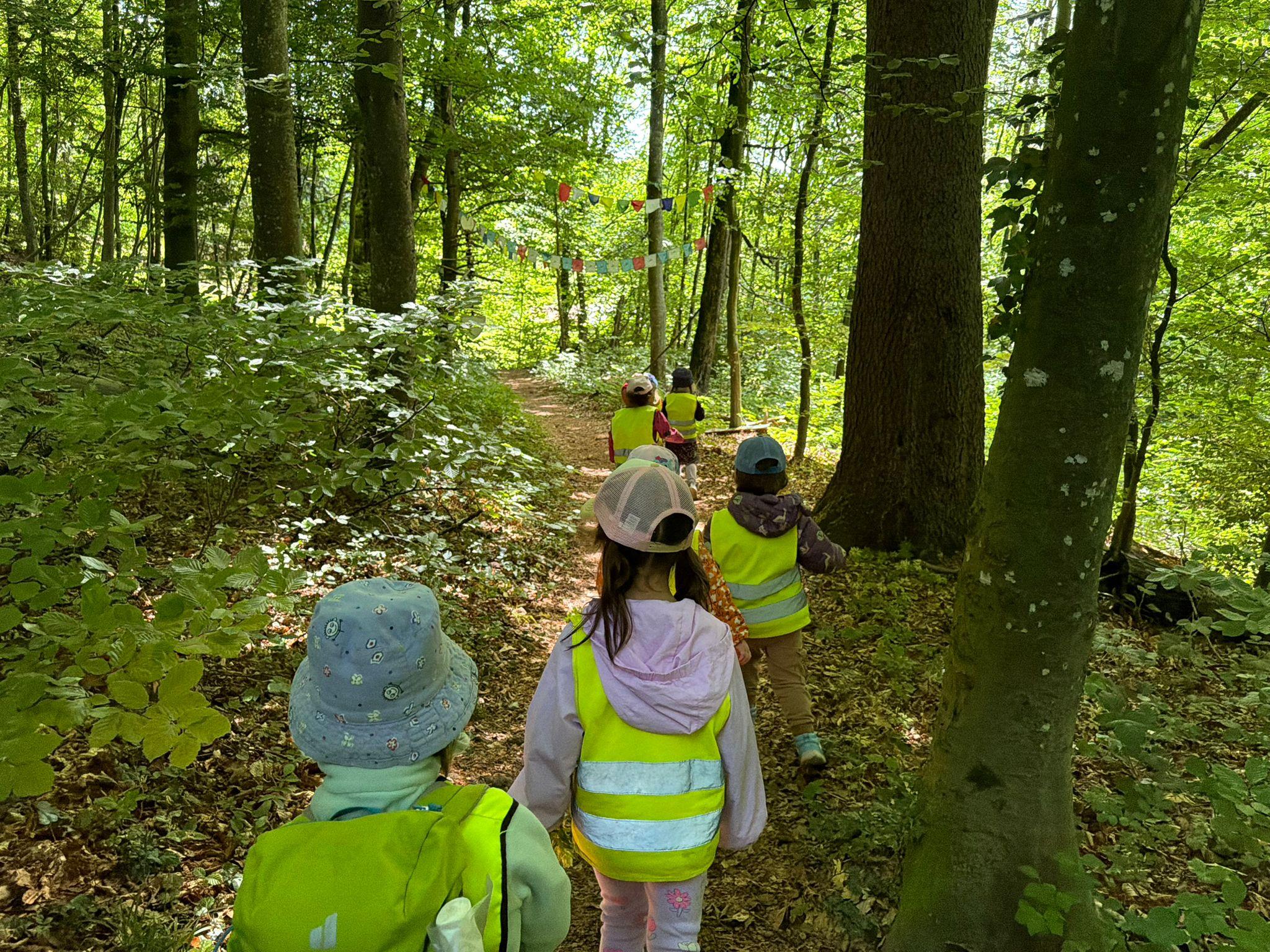 Waldgruppe 7 wundervolle Naturmomente